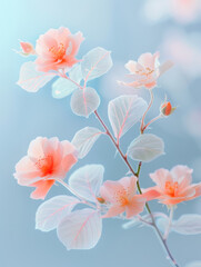 Wall Mural - blossom flower and leaf, translucence minimalist, frosted glass blur covered, multiple exposures, spring, summer, macro photography