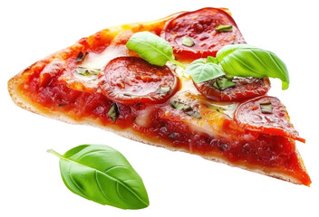 Poster - PNG Pizza food mozzarella pepperoni.