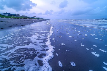 Wall Mural - Foamy Waves Retreating on a Sandy Beach at Sunset