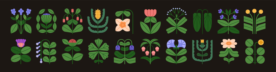 Fototapete - Floral botanical icons, elements set. Flowers, blooming plants, summer blossoms, leaf branches, wildflowers in whimsical shape. Decorative modern stylized garden flora. Flat vector illustrations