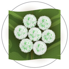 Poster - Top view delicious traditional indonesian culinary klepon (Sweet rice balls) on palm leaf plate illustration vector png.