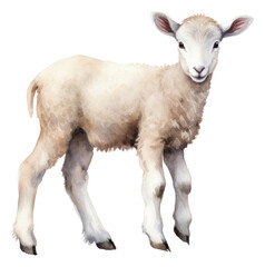 Sticker - PNG Livestock animal mammal sheep.