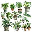 © CottageCore - plants in pots