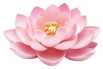 Poster - PNG Lotus flower petal plant white background.