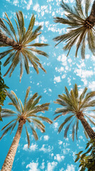 Wall Mural - Bottom view of tall palm trees. Blue sunny sky. Summer holiday vibe. Generative AI