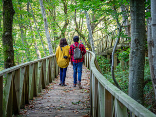 adapted access, Secuoyas del Monte Cabezón are , Protected Natural Space, Cabezón de la Sal, Cantabria, Spain