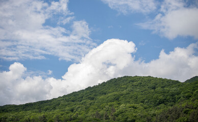 Nature, forested mountains, blue sky with white clouds.