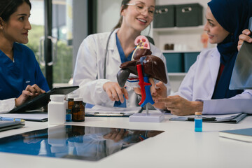 Wall Mural - doctor team, analysis the blood test examination results and medication usage of the patient on the 