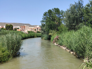 Canvas Print - River in nature