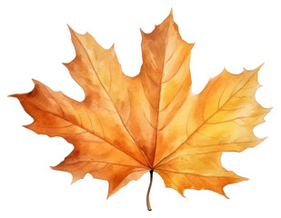 Sticker - PNG Maple leaves autumn plant.