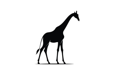 Animal silhouette illustration