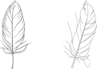 Fototapete - this is a continuous line drawing of a bird feather, along with a writer and poetry symbol logo. the