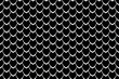 © ararat - Seamless geometric pattern, snake, fish, mermaid, dragon scales. Minimal abstract texture in black and white color, animal vector background for your design, cover and wallpaper