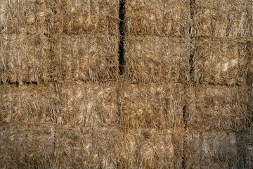 Wall Mural - hay bales in a stack on a farm in australia in drought ready to feed to cows and sheep summer in australia