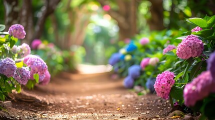 Poster - Peaceful Garden Path Lined with Blooming Hydrangeas