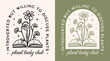 © Pictandra - Plant lady club introverted but willing to discuss plants lover funny quotes gardener girl squad gifts. Boho retro green aesthetic cute plant mom art women shirt design poster sticker print vector.
