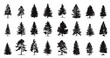 © MicroOne - Pine and fir silhouettes collection. Forest and park trees. Side view. Monochrome vintage style. Nature vector clipart set. Isolated on white background