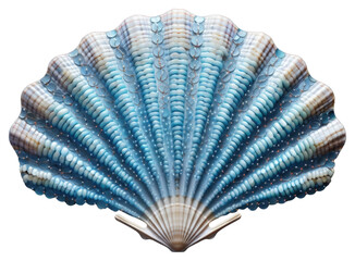 Poster - PNG Blue sea shell clam invertebrate seashell.