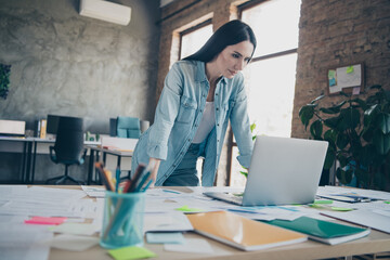 Wall Mural - Photo of attractive young woman work graph computer dressed denim clothes executive business leader work comfort beautiful office interior