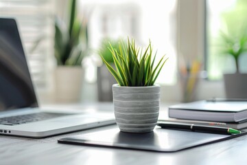 Poster - A close-up of a clean, modern office desk with a potted plant, a laptop, and stationery