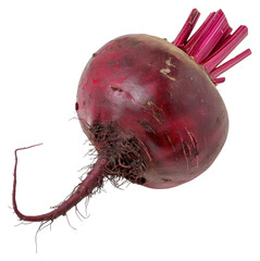 Sticker - PNG Beetroot vegetable food organic.