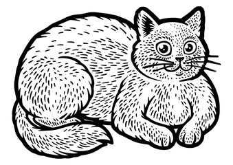 Wall Mural - Fat cat sketch engraving PNG illustration. T-shirt apparel print design. Scratch board imitation. Black and white hand drawn image.