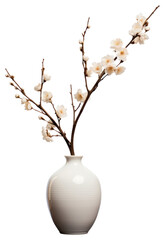 Poster - PNG Vase decoration blossom flower transparent background