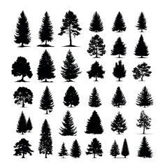 Sticker - Tree silhouettes black monochrome vector set. Trees coniferous deciduous pine spruce garden forest park flora plants, illustrations isolated on white background