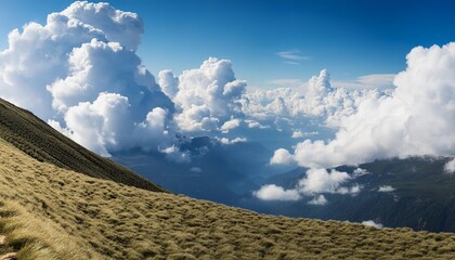 Canvas Print - air clouds in the blue sky