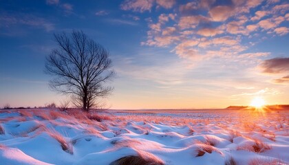 Sticker - winter sunset over prairie field