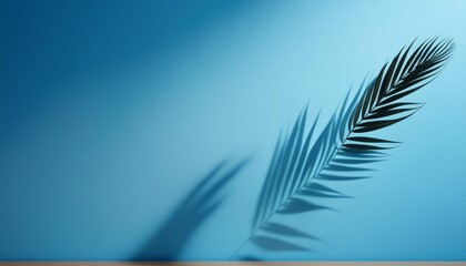 Poster - blurred shadow from palm leaves on the blue wall minimal abstract background for product presentation spring and summer