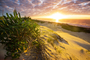 Wall Mural - Sand dunes on coast