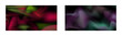 © HALINA YERMAKOVA - Dark gradient. Multi-colored smoke effect. Northern lights. Unusual abstract background. Wallpaper or cover. Set of two backgrounds.
