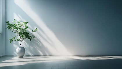 Wall Mural - minimalistic light background with blurred foliage shadow on a white wall beautiful background for presentation with with smooth floor