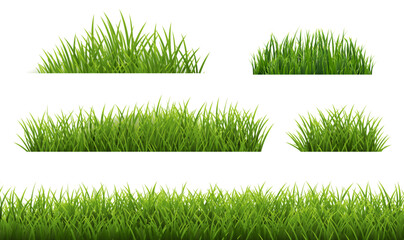 Wall Mural - Green Grass Borders Set Isolated White Background