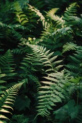 Poster - A close-up shot of a cluster of green plants, ideal for nature and environmental-themed projects