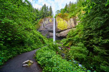 Waterfall and Forest Pathway in Lush Greenery Columbia Gorge Eye Level View