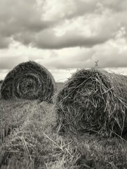 Canvas Print - Two hay bales are in field with cloudy sky in background