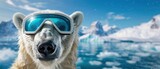 Polar Cool, Polar bear wearing sunglasses, Arctic Adventure