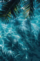 Wall Mural - A palm tree's shadow falls onto calm waters