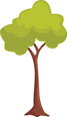 Poster - Single green tree growing with lush foliage isolated on white background