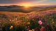© mongkonchai - A beautiful field of wildflowers glowing under the warm hues of a setting sun