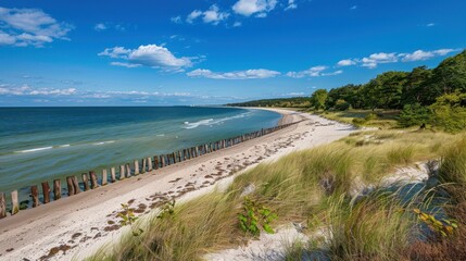 Sticker - Sandy Beach on a Sunny Day