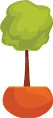 Poster - Small green tree is growing in a pot for home decoration