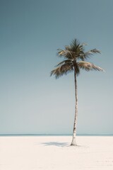 Wall Mural - minimalist background with a lone coconut tree on white sand beach, symbolizing solitude and simplicity