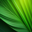 © SaddhaVisual - Green texture of tree leaf. Nature background. Nature leaves, green tropical forest, backgound concept