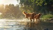 © Ilsol - Photorealistic Summer Lake with Dogs | Summer Background | Photorealistic