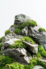 Aufkleber - A natural rock surface overgrown with lush green moss