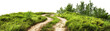 © Pemika - A scenic dirt path winds through lush green grass and bushes, evoking a sense of adventure and tranquility in nature.