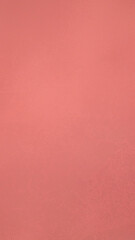 Wall Mural - Peach Fuzz paint wall seamless background color Georgia pink